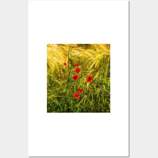 Poppies in a cornfield Posters and Art